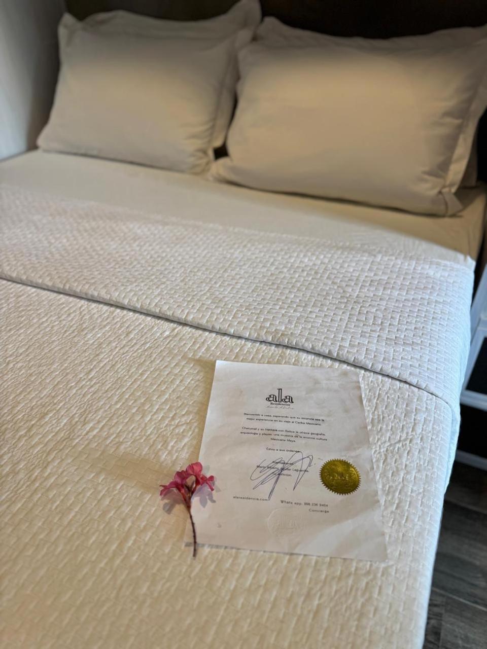Hotel "Ala Residencias" チェトゥマル エクステリア 写真